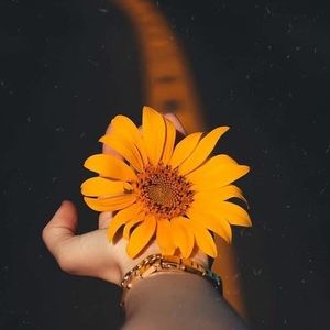 Meet your Posher, Mayra